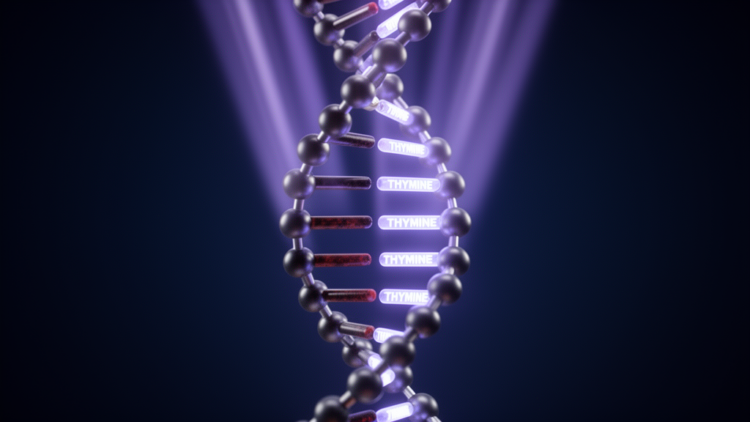 Electrical Engineers Trace How Thymine Shielded Early DNA From Deadly UV Light