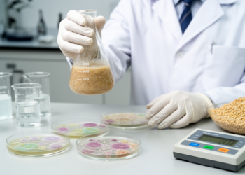 Moderate Glucose, Citrate and Potassium Boost Bacteriocin Yield from Nigerian Fermented Food Bacteria