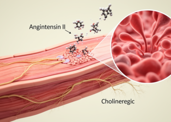 Colonic Muscle in Diverticular Disease Overreacts to Angiotensin II While Losing Cholinergic Drive