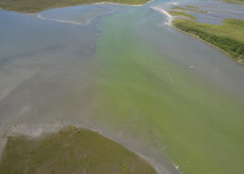 New Global Map Reveals Where Human Activity Drives Harmful Nutrient Levels in Coastal Waters
