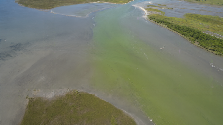 New Global Map Reveals Where Human Activity Drives Harmful Nutrient Levels in Coastal Waters