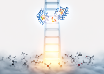 Climbing the causal ladder: a new framework sorts real cancer drug targets from statistical noise