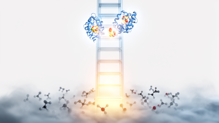 Climbing the causal ladder: a new framework sorts real cancer drug targets from statistical noise