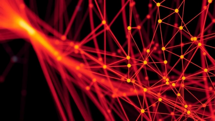 New Training Method Steers Neural Networks Toward Flat Minima and Away from Bad Labels