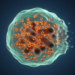 Copper Overload Triggers a Distinct Form of Cell Death That Could Transform Cancer Therapy