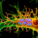 Parasite Kinase on the Endoplasmic Reticulum Revealed as a Master Switch for Calcium, Motility and Virulence