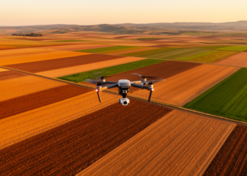 GeoAI and Remote Sensing Are Rewriting How We Map the World’s Soils