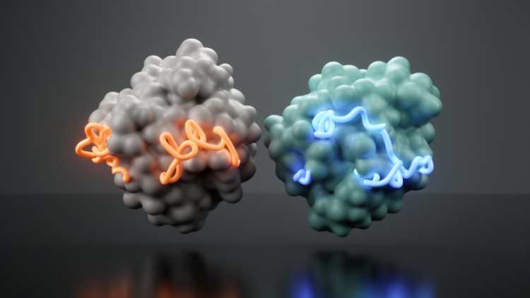 Machine learning reveals hidden conformational signatures of resistant KRAS mutants