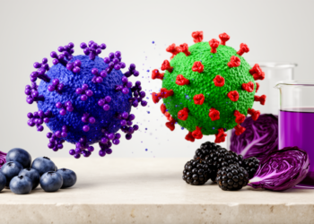 Anthocyanins Show Antiviral Promise Against SARS-CoV-2, But Clinical Hurdles Remain