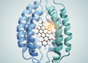 Structure-Guided Drug Firmonertinib Delivers Durable Responses in EGFR PACC-Mutated Lung Cancer