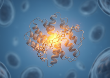 Hidden Sugar Switch Sabotages a Key Enzyme in Attenuated MPS I