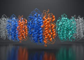 MultimerMapper maps the hidden dynamics of AlphaFold protein complexes