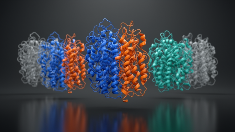 MultimerMapper maps the hidden dynamics of AlphaFold protein complexes