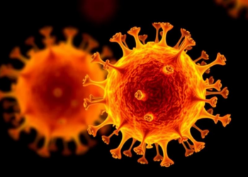 Zirconium-89 PET Tracks Immune Cells Safely in First Human Trial