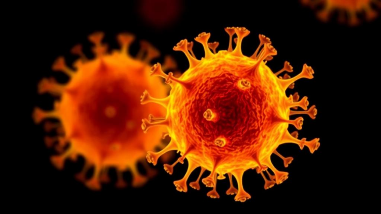 Zirconium-89 PET Tracks Immune Cells Safely in First Human Trial