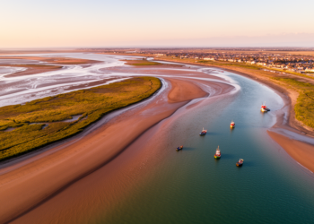 Estuaries Through a Systems Lens: Rethinking Coastal Management