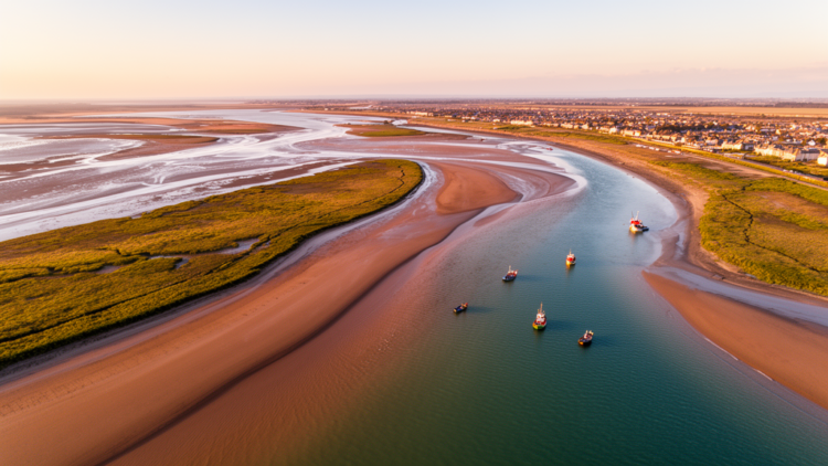 Estuaries Through a Systems Lens: Rethinking Coastal Management