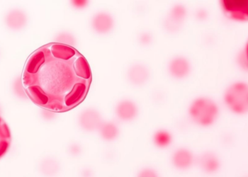 Immature Platelet Fraction Shows Mixed Prognostic Value in Myelodysplastic Syndromes