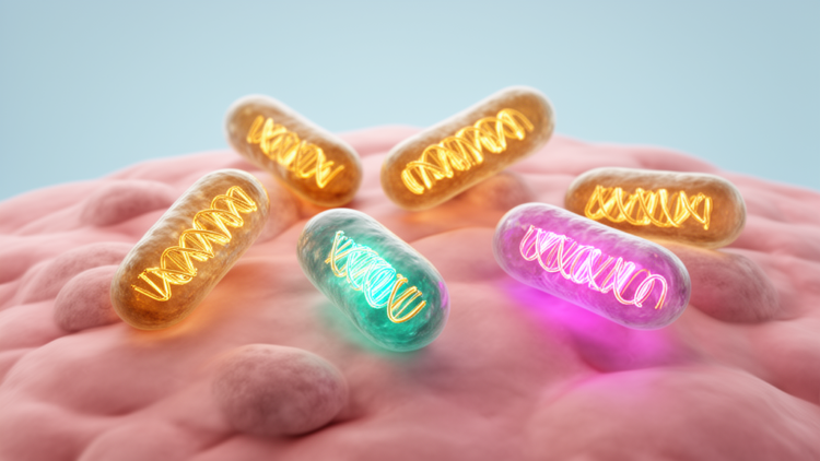 Four Carbapenemase Genes Found Coexisting in One Patient’s Lung Sample