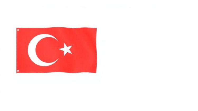 New Turkish Version of ARFID Questionnaire Proves Accurate in Adults