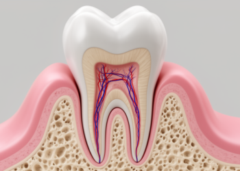 How a 9-Year-Old’s Molar Regrew Its Own Root: Inside a Landmark Regenerative Dental Case