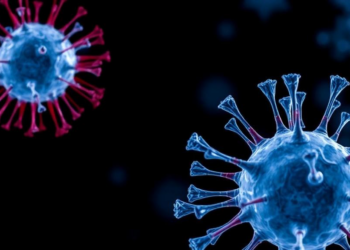 Chemical Tags on Tiny Vesicles May Shape How Cancer Spreads