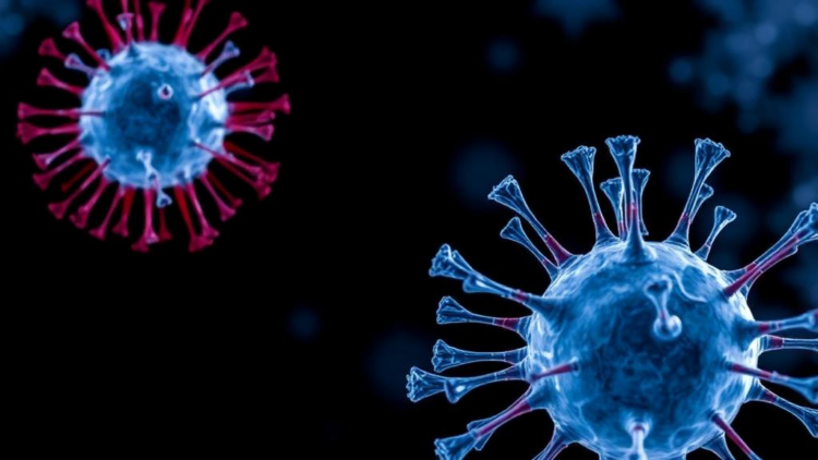 Chemical Tags on Tiny Vesicles May Shape How Cancer Spreads