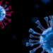 Chemical Tags on Tiny Vesicles May Shape How Cancer Spreads
