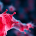 Hypoxia-Programmed Macrophage Vesicles Turn the Immune System Into a Bone-Healing Engine