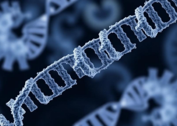 Cryo-EM Reveals How RNA Polymerase II Remodels and Stalls at Cisplatin DNA Crosslinks