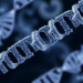 Cryo-EM Reveals How RNA Polymerase II Remodels and Stalls at Cisplatin DNA Crosslinks