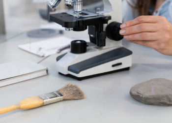 518-Million-Year-Old Fossil Rewrites Starfish Origin Story