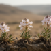 Three Rare Plants Face Extinction as New Global Red List Assessments Reveal