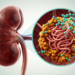 New Kidney Disease Therapies Strike at the Root of IgA Nephropathy