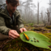 Tiny Sentinels: How Island Bugs Reveal the Health of a Vanishing Forest