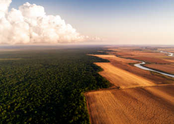 Clouds, not evaporation, decide how land change shifts global climate