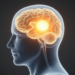 Fluciclovine PET baseline maps normal head uptake for glioma diagnosis
