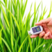 Cheap 3D Sensors Could Transform How Rice Disease Is Measured