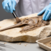 Australian swordfish-like fossil fish was never endemic, new skull reveals