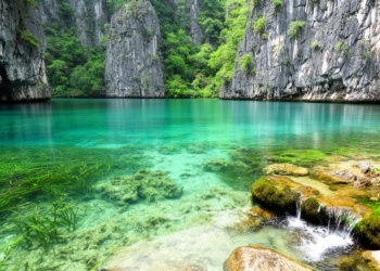 Carbon Fertilization in Karst Waters: A Nature-Based Solution for Carbon Sinks and Eutrophication Control