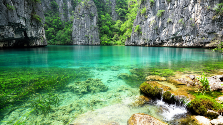 Carbon Fertilization in Karst Waters: A Nature-Based Solution for Carbon Sinks and Eutrophication Control