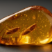 Two new extinct cricket relatives emerge from 100-million-year-old Burmese amber