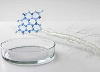 Gardenia-Derived Genipin Emerges as a Therapeutic Candidate for Peripheral Nerve Diseases