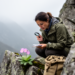 New pink primrose species discovered on Sichuan cliffs rewrites primrose family tree