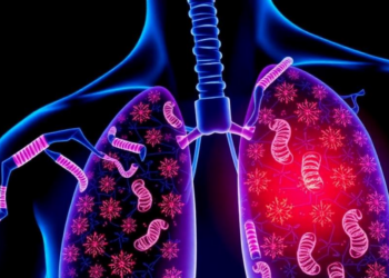 Mitochondrial Gatekeeping Genes Offer New Way to Predict Lung Cancer Survival