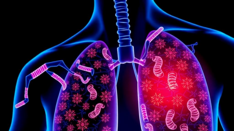 Mitochondrial Gatekeeping Genes Offer New Way to Predict Lung Cancer Survival