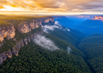 Hidden Rainforests Revealed in Australia’s Greater Blue Mountains World Heritage Area