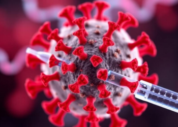 Virus-Like Particles Emerge as a Unifying Platform for Vaccines, Gene Delivery, and Precision Medicine