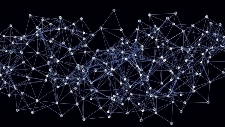 Graph Learning Beats Fraud by Structure, Not Smarter Score Fusion, Study Finds