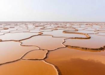 Groundwater Rebound: How Pumping Limits Let a Chinese Coastal Aquifer Heal Itself